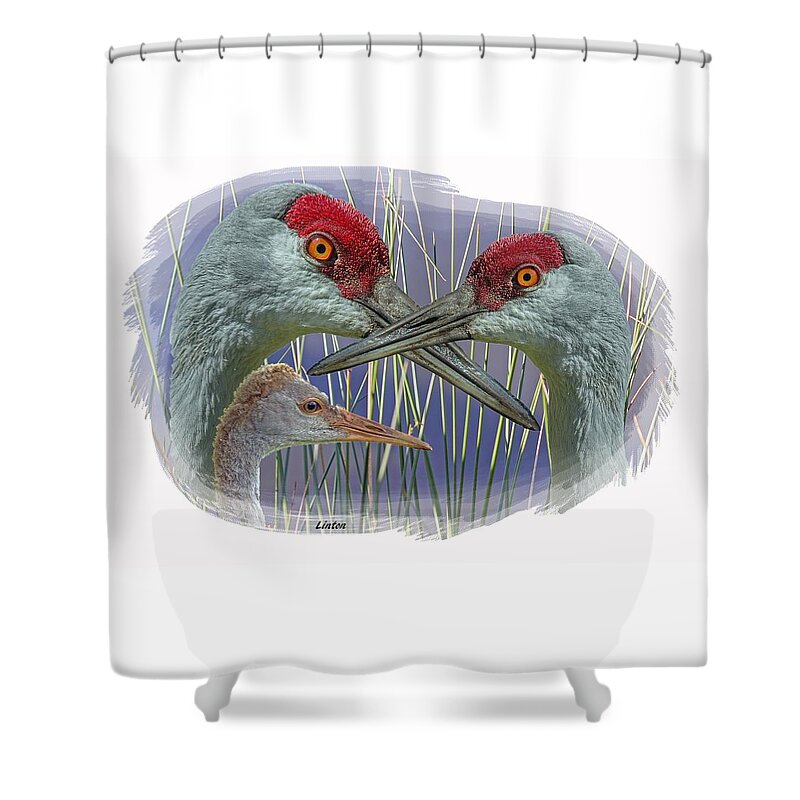Sandhill Cranes Shower Curtain featuring the digital art Sandhill Crane Family by Larry Linton