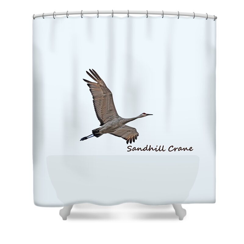 Sandhill Shower Curtain featuring the photograph Sandhill Crane in Flight by Whispering Peaks Photography