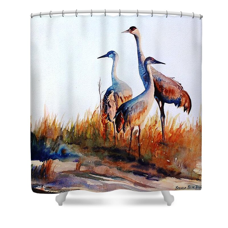 Sandhill Cranes Shower Curtain featuring the painting Sandhill Cranes by Brenda Beck Fisher