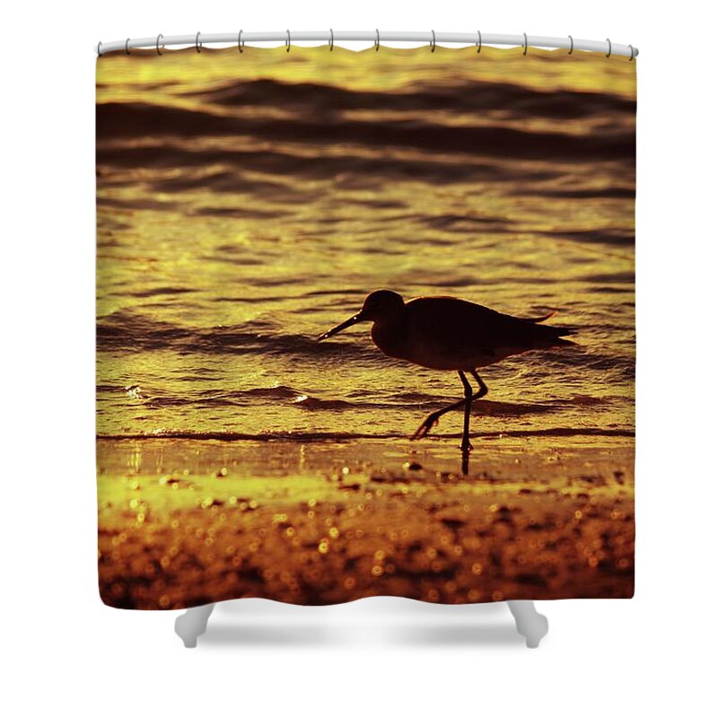 Bird Shower Curtain featuring the photograph Sandpiper Shore by Stoney Lawrentz