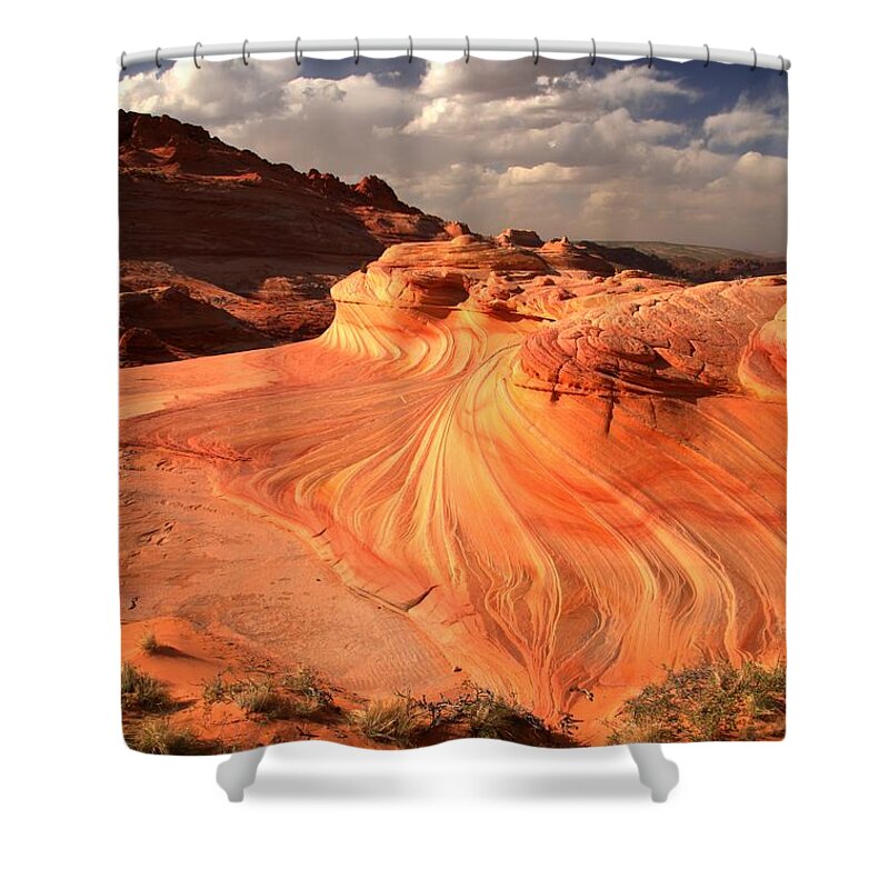 The Wave Shower Curtain featuring the photograph Sandstone Dragon Portrait View by Adam Jewell