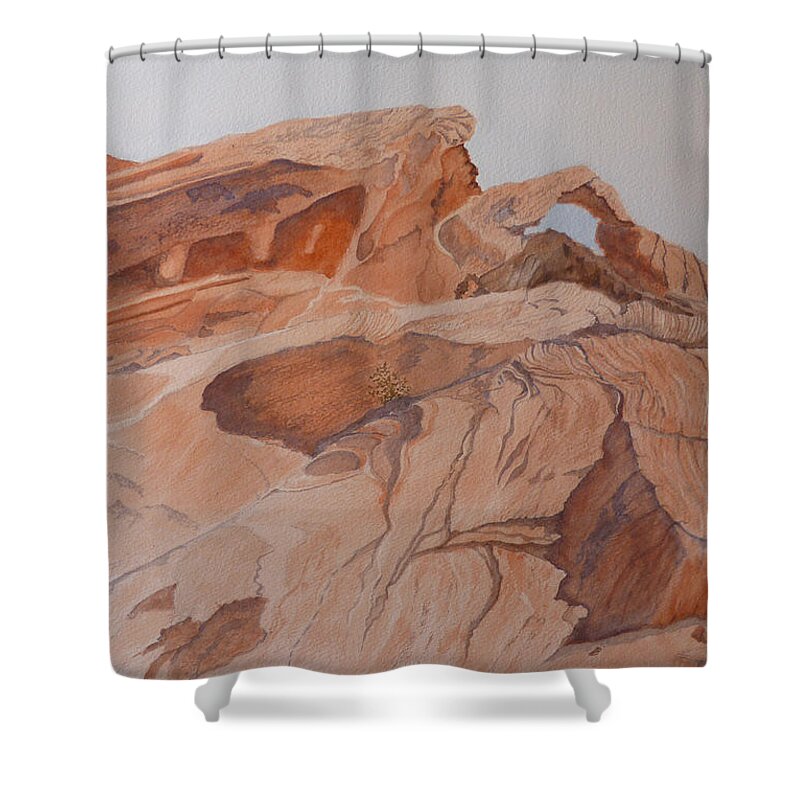 Eastern Nevada State Parks Shower Curtain featuring the painting Sandstone Rainbow by Joel Deutsch