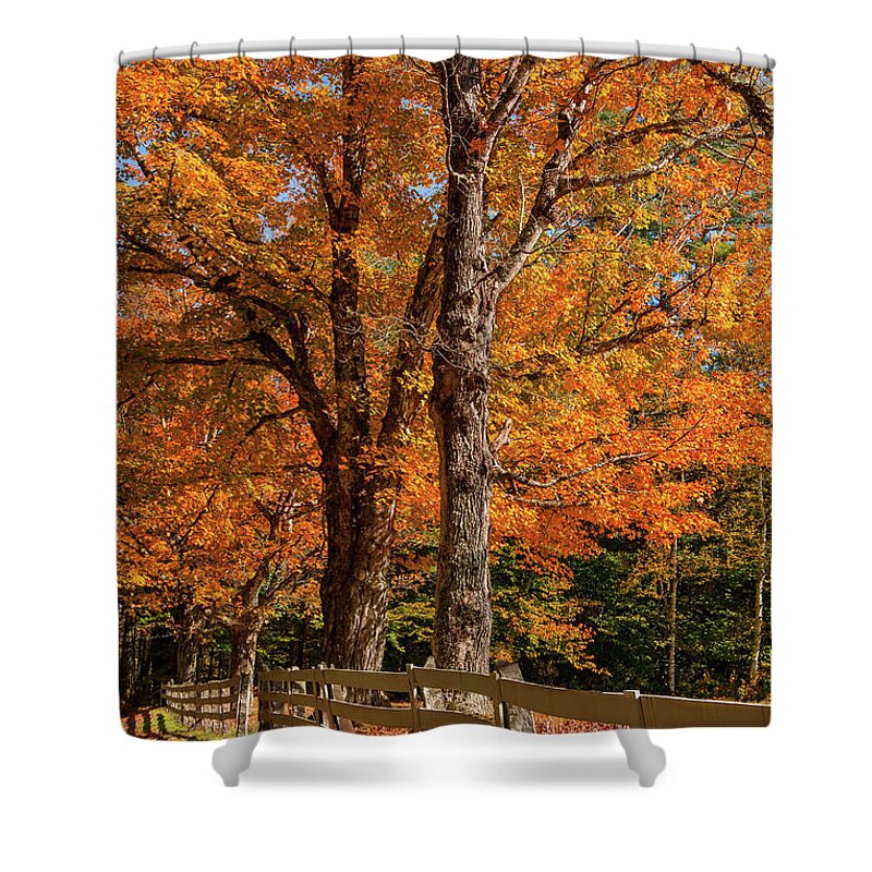 Sandwich Shower Curtain featuring the photograph Sandwich Autumn by White Mountain Images