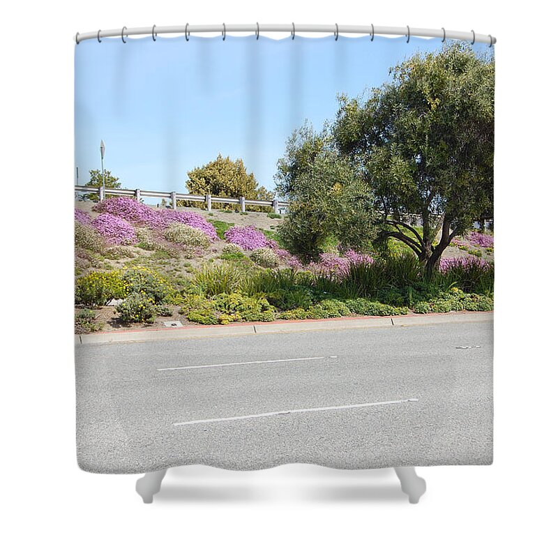 Springtime Shower Curtain featuring the photograph Santa Clara Highway by Carolyn Donnell