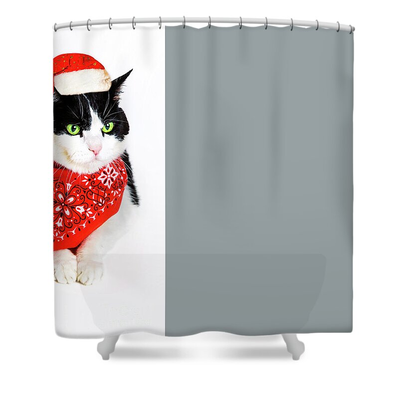 Cat Shower Curtain featuring the photograph Santa Claus Cat by Benny Marty