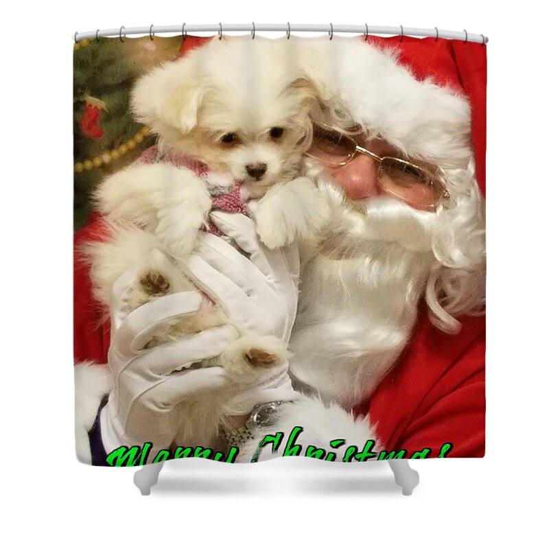Puppy Shower Curtain featuring the painting Santa Paws by Darren Robinson