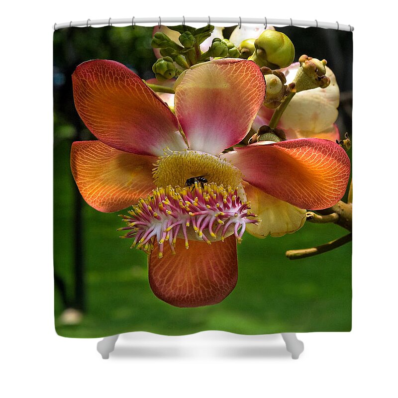 Scenic Shower Curtain featuring the photograph Sara Tree Flower DTHB104 by Gerry Gantt