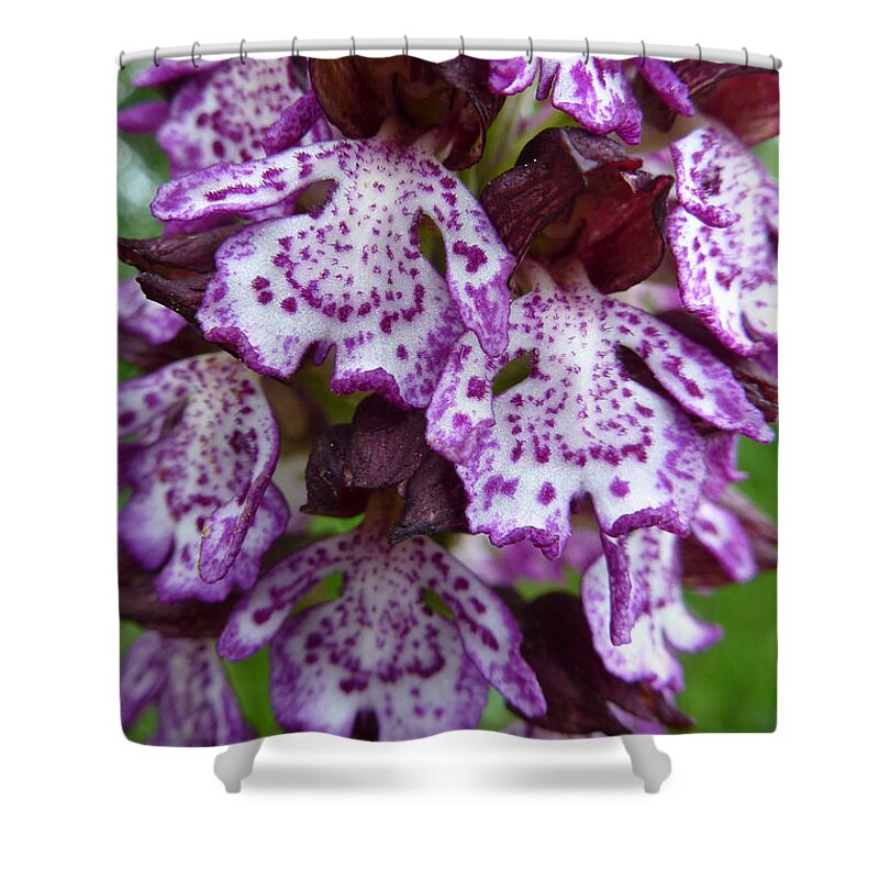 Beauty Shower Curtain featuring the photograph Savage Orchid 2 by Jean Bernard Roussilhe
