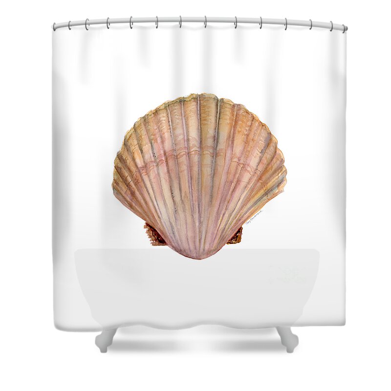 Scallop Shell Painting Shower Curtain featuring the painting Scallop Shell by Amy Kirkpatrick