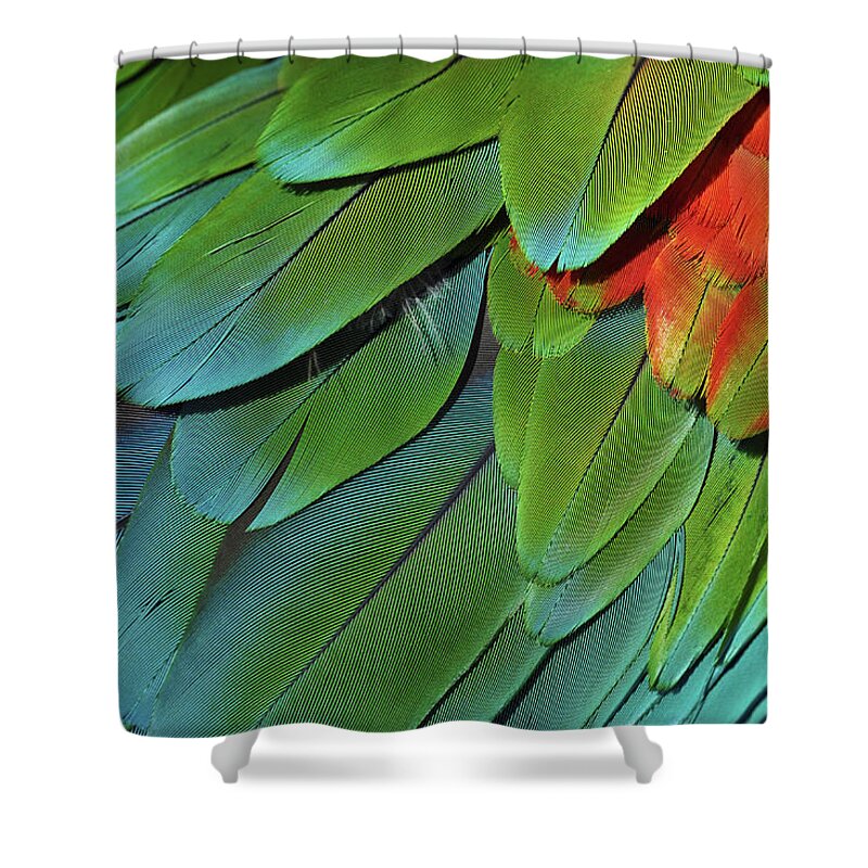 Free Flight Shower Curtain featuring the photograph Scarlet Macaw Feathers by Kyle Hanson