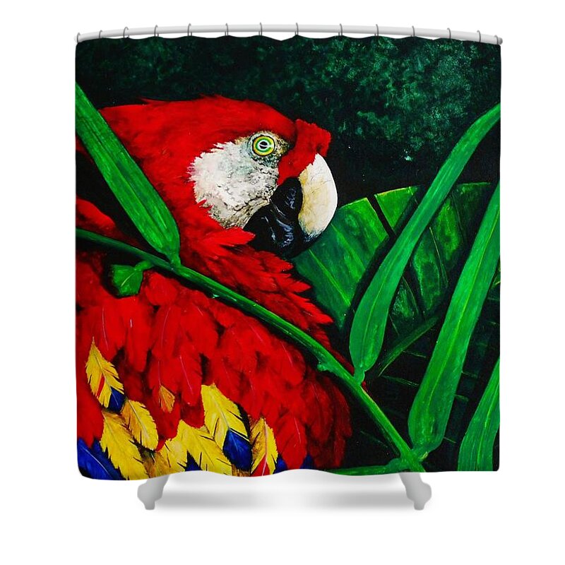 Birds Shower Curtain featuring the painting Scarlet Macaw head study by Dana Newman
