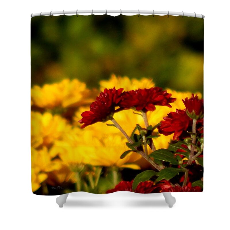 Autumn Shower Curtain featuring the photograph Scarlett Photo Bombs by Wild Thing
