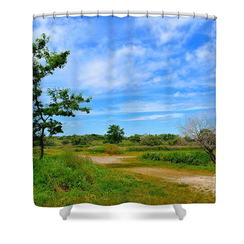 Path Shower Curtain featuring the photograph Scene at Silver Sands by Dani McEvoy