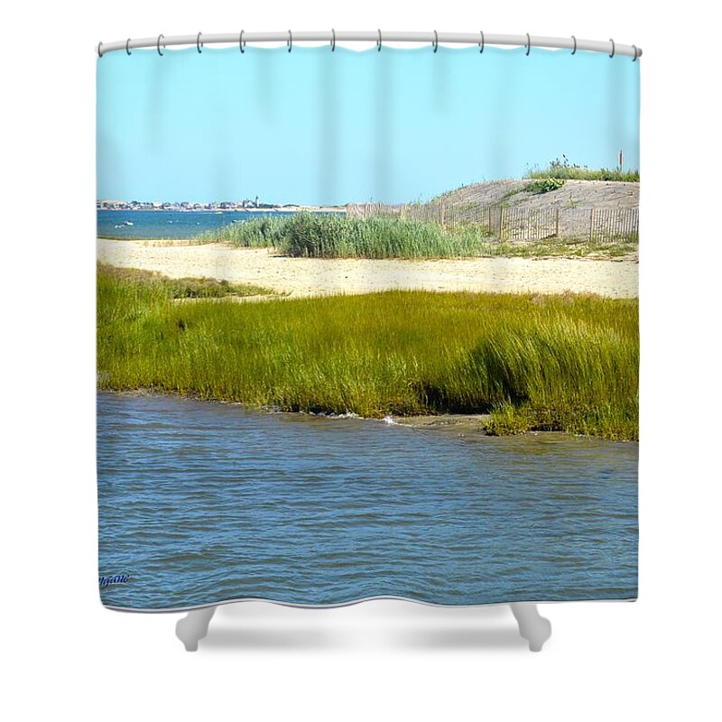 Art For Living Roo Shower Curtain featuring the photograph Scenic Cape Cod by Sonali Gangane