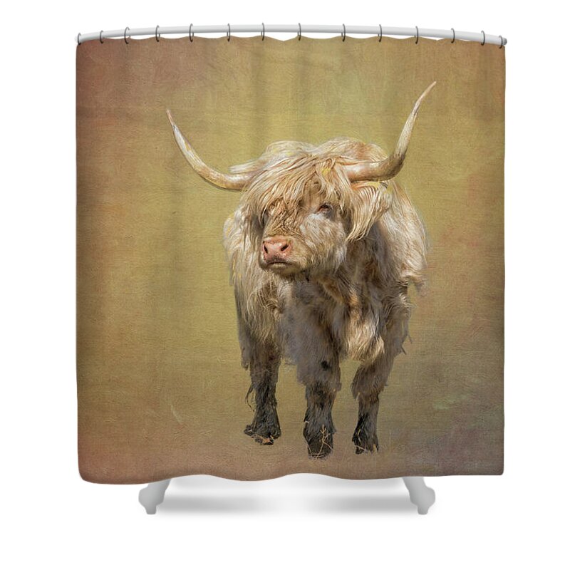Harrisville New Hampshire. New England Mill Town Shower Curtain featuring the photograph Scottish Highlander by Tom Singleton