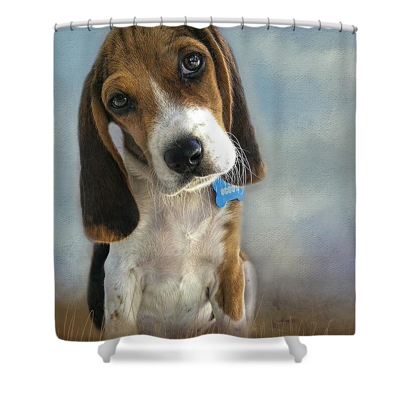 Scout Shower Curtain featuring the photograph Scout by Steven Richardson