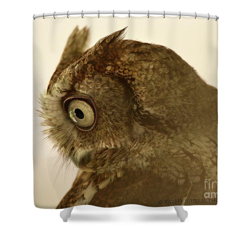 Owl Shower Curtain featuring the photograph Screech Owl by Kathy Russell