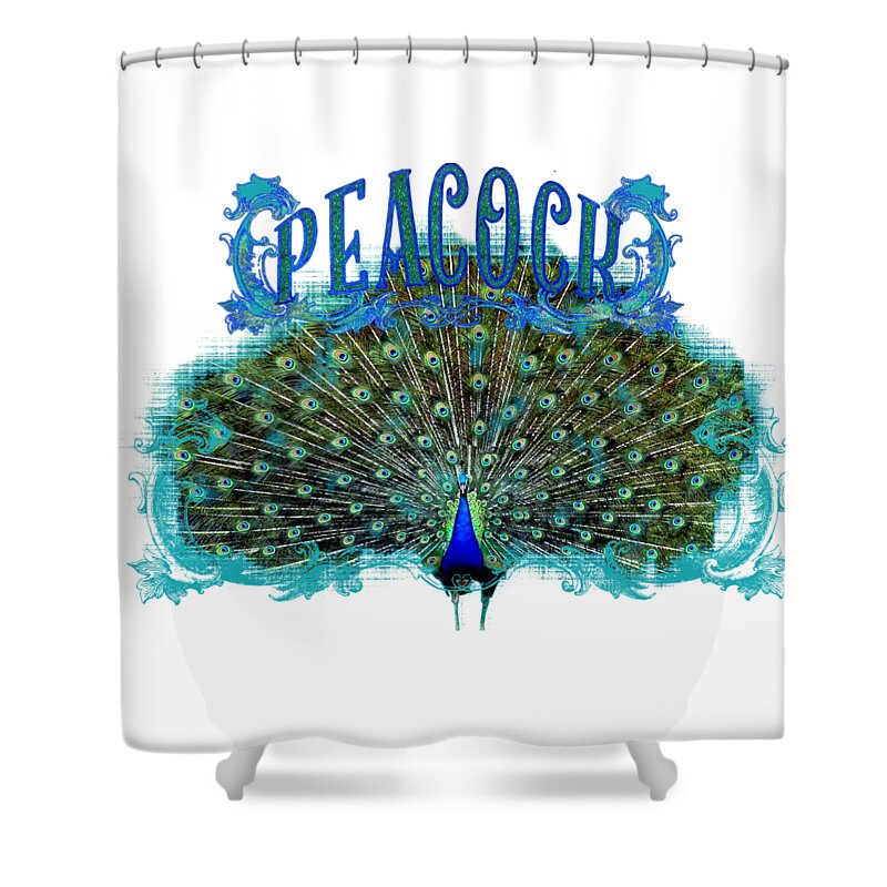 Peacock Shower Curtain featuring the painting Scroll Swirl Art Deco Nouveau Peacock w Tail Feathers Spread by Audrey Jeanne Roberts