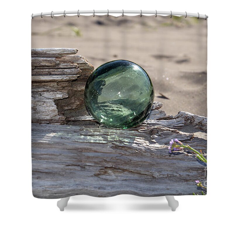 Denise Bruchman Shower Curtain featuring the photograph Sea Baubles by Denise Bruchman