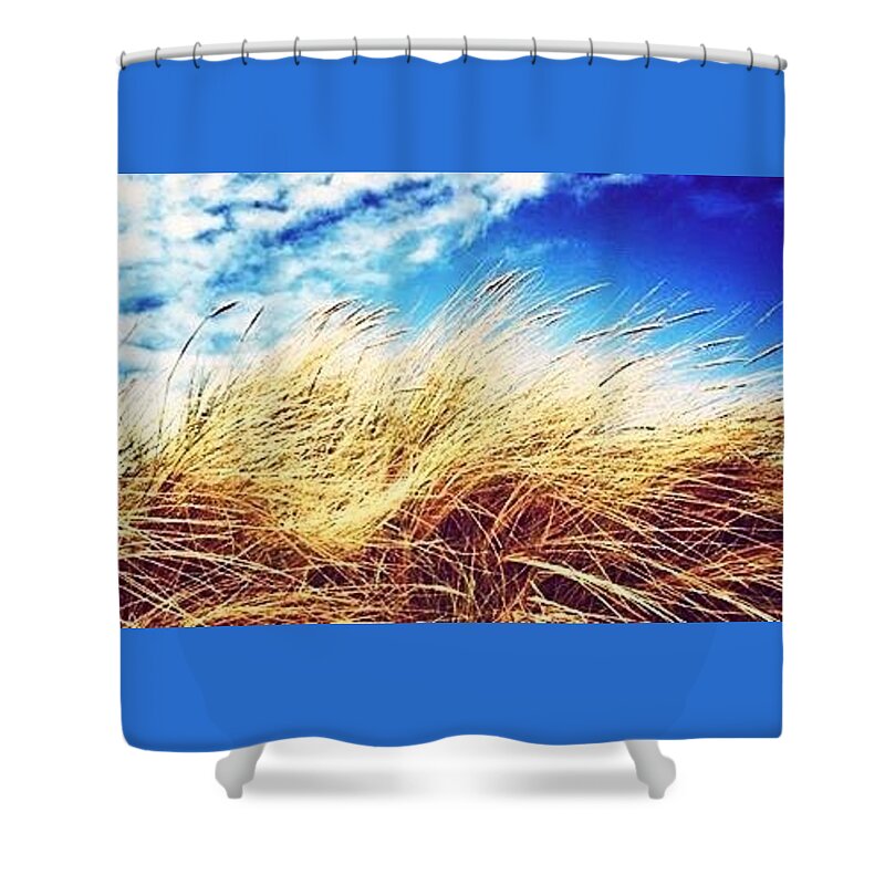 Seaside Shower Curtain featuring the photograph Sea Grass by Zoe Calvert