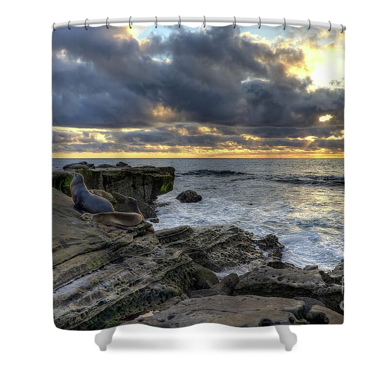 Sea Shower Curtain featuring the photograph Sea Lions At Sunset by Eddie Yerkish