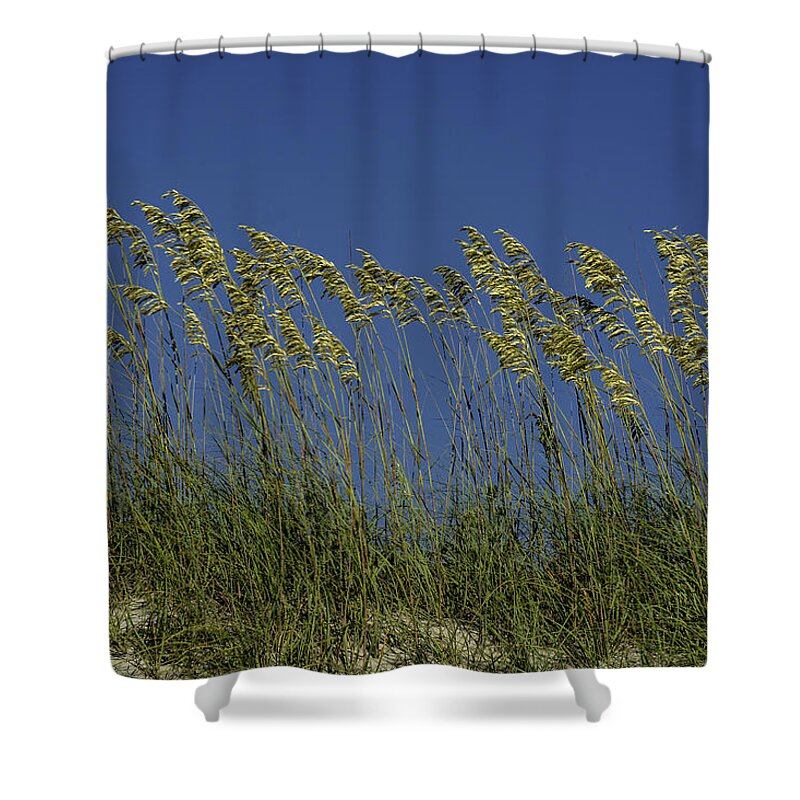 Original Shower Curtain featuring the photograph Sea oats on the dunes by WAZgriffin Digital