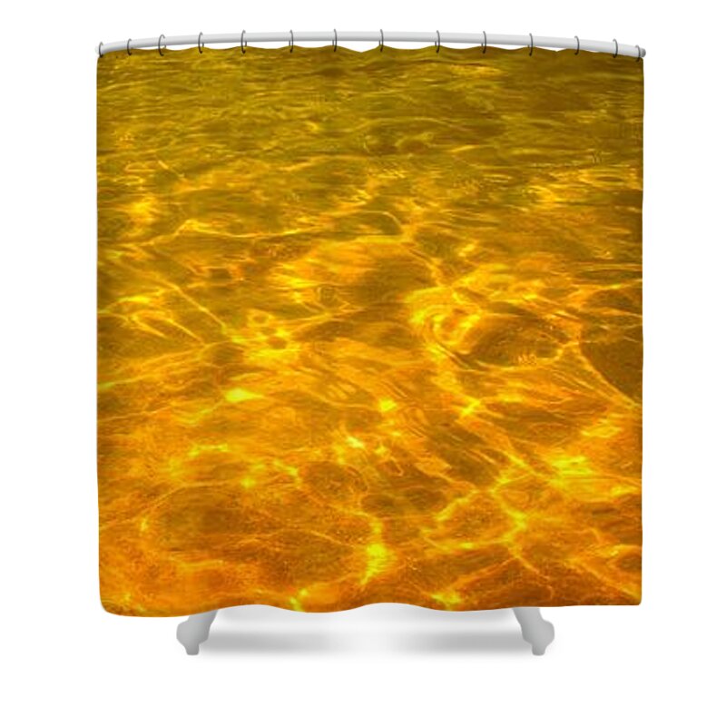 Gold Shower Curtain featuring the photograph Sea of Gold by Steven Robiner