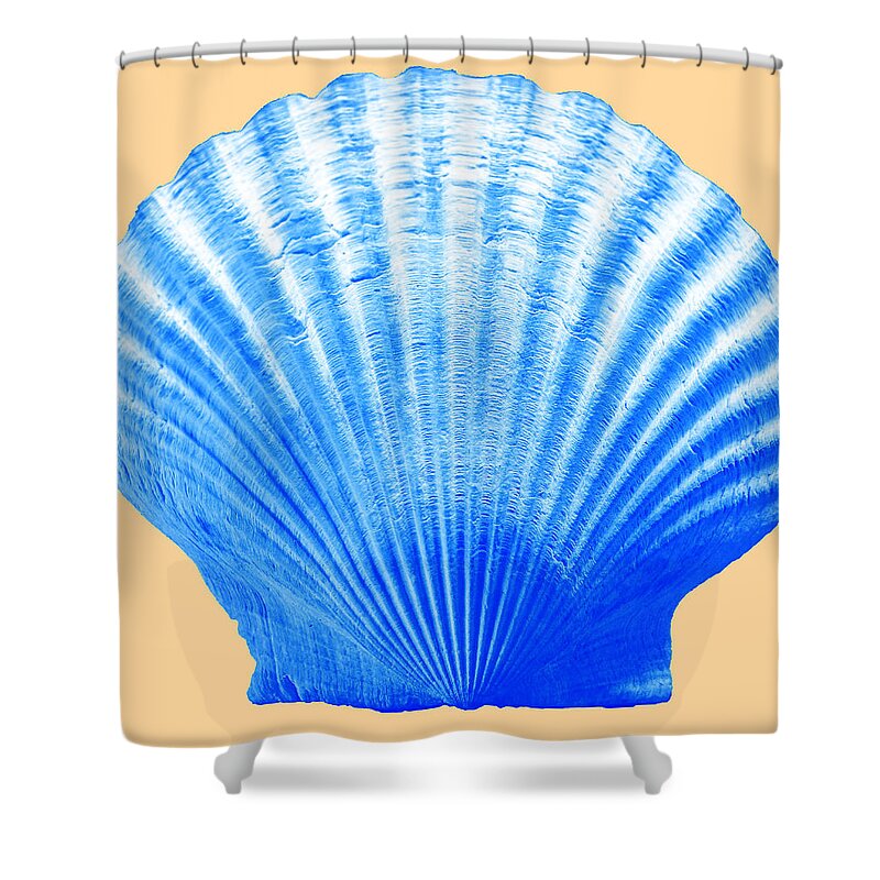 Sea Shower Curtain featuring the photograph Sea Shell -Blue on Sand by WAZgriffin Digital