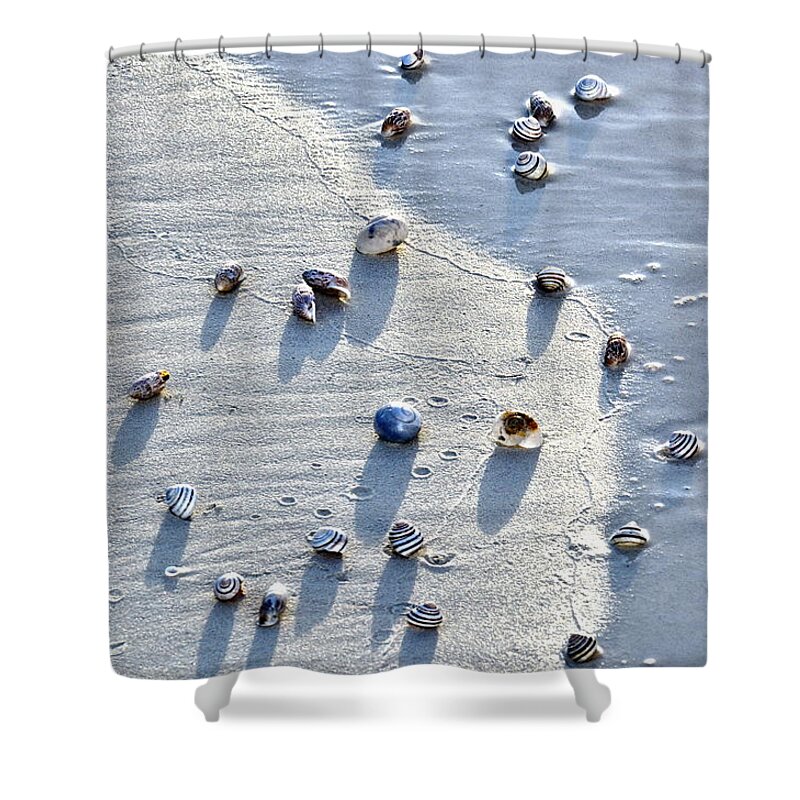Shells Shower Curtain featuring the photograph Sea Shells at the Shore by Amy McDaniel