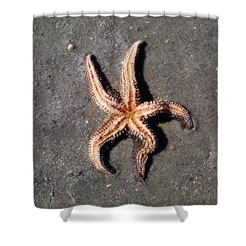 Portrait Shower Curtain featuring the photograph Sea Star by Jean Wolfrum
