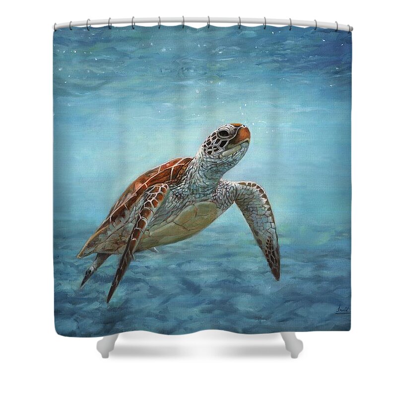 Sea Turtle Shower Curtain by David Stribbling - Pixels