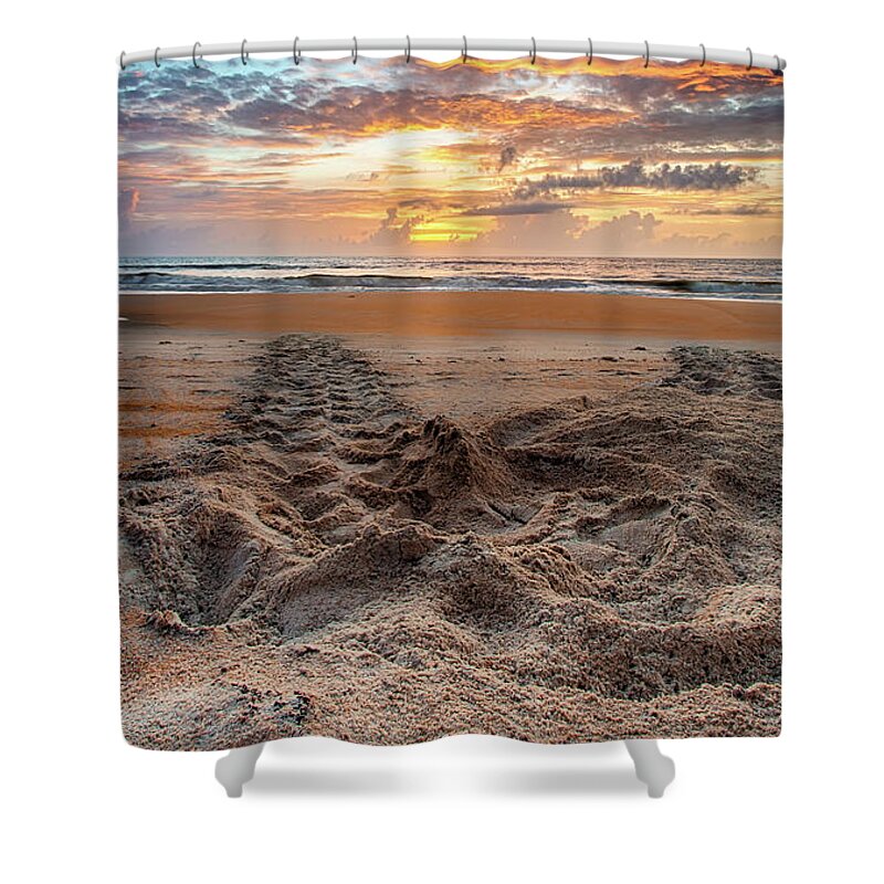 Turtle Shower Curtain featuring the photograph Sea Turtle Trails by Dillon Kalkhurst