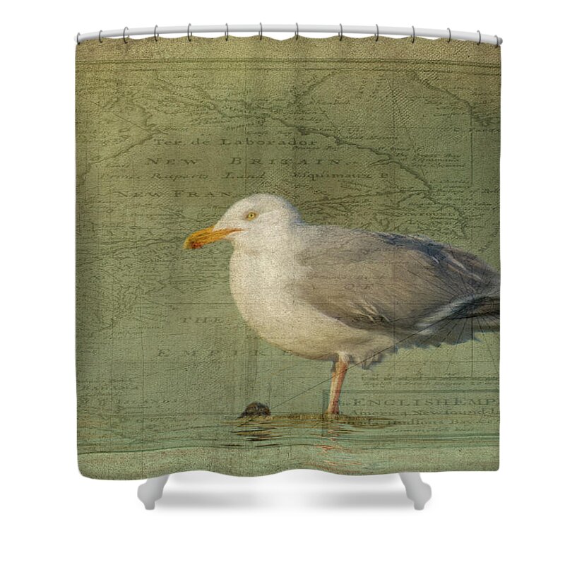 Vintage Shower Curtain featuring the photograph Seafarer by Cathy Kovarik