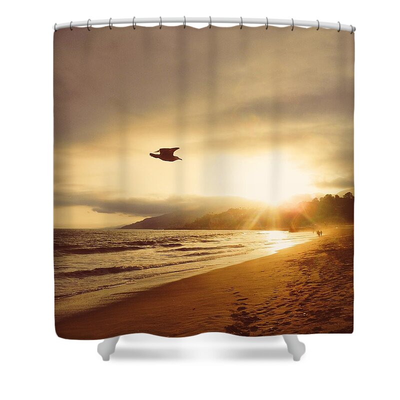 Seagull Shower Curtain featuring the photograph Seagull at Sunset by Robert Ceccon