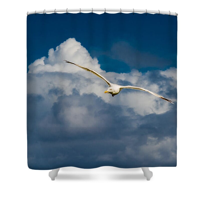 Seagull Shower Curtain featuring the photograph Seagull High Over the Clouds by Andreas Berthold