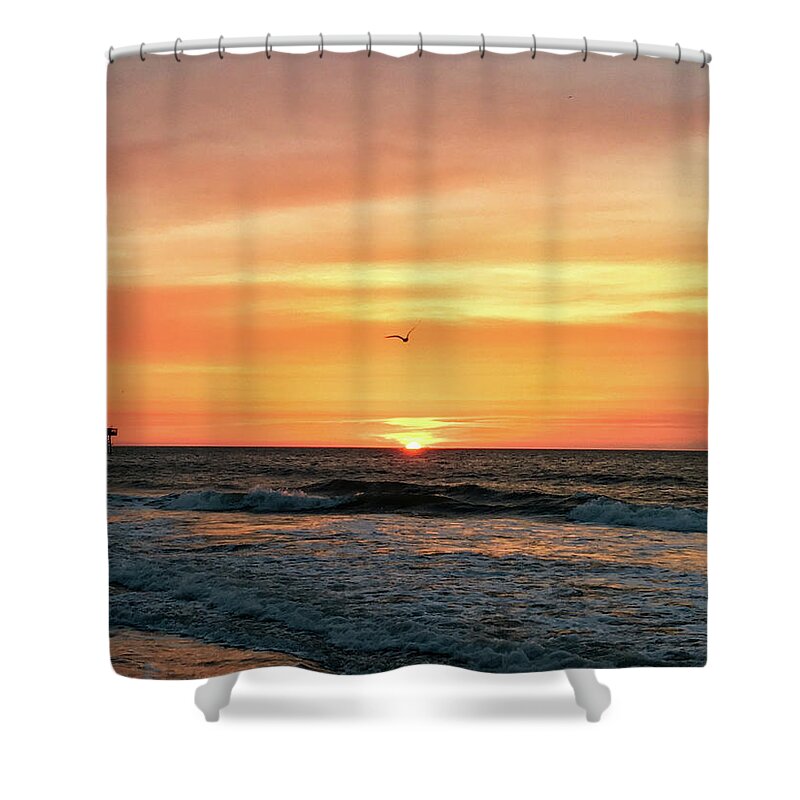 Sunrise Shower Curtain featuring the photograph Seagull Sunrise by Matt Sexton
