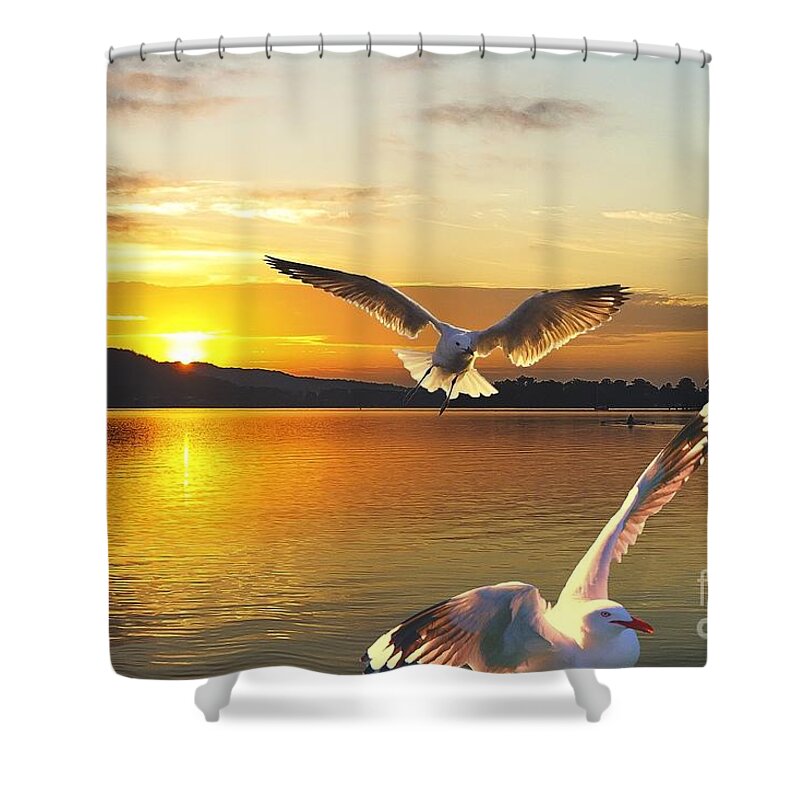 Golden Shower Curtain featuring the photograph Seagulls at Sunrise... Exclusive Original stock Photo Art by Geoff Childs