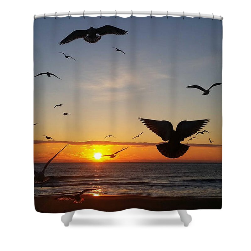 Sun Shower Curtain featuring the photograph Seagulls at Sunrise by Robert Banach
