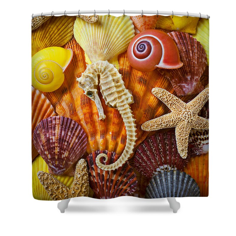  Seahorses Shower Curtain featuring the photograph Seahorse and assorted sea shells by Garry Gay