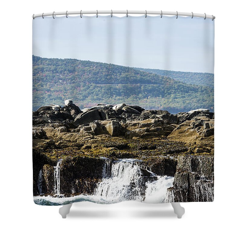 Seal Island Shower Curtain featuring the photograph Seal Island by Anthony Baatz