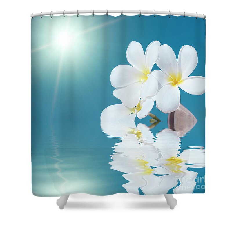 Frangipani Shower Curtain featuring the photograph Seashell and flower in the sea by MotHaiBaPhoto Prints