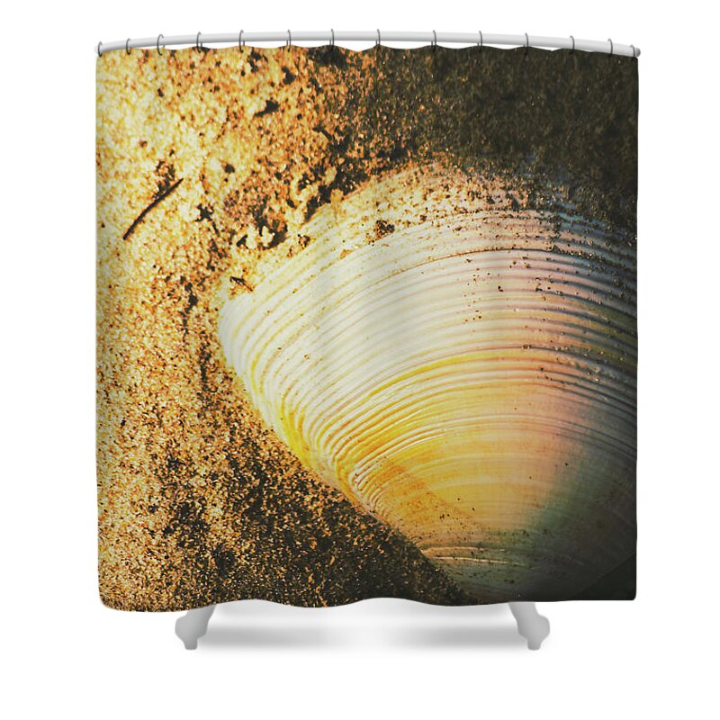 Nature Shower Curtain featuring the photograph Seashells and beach colours by Jorgo Photography