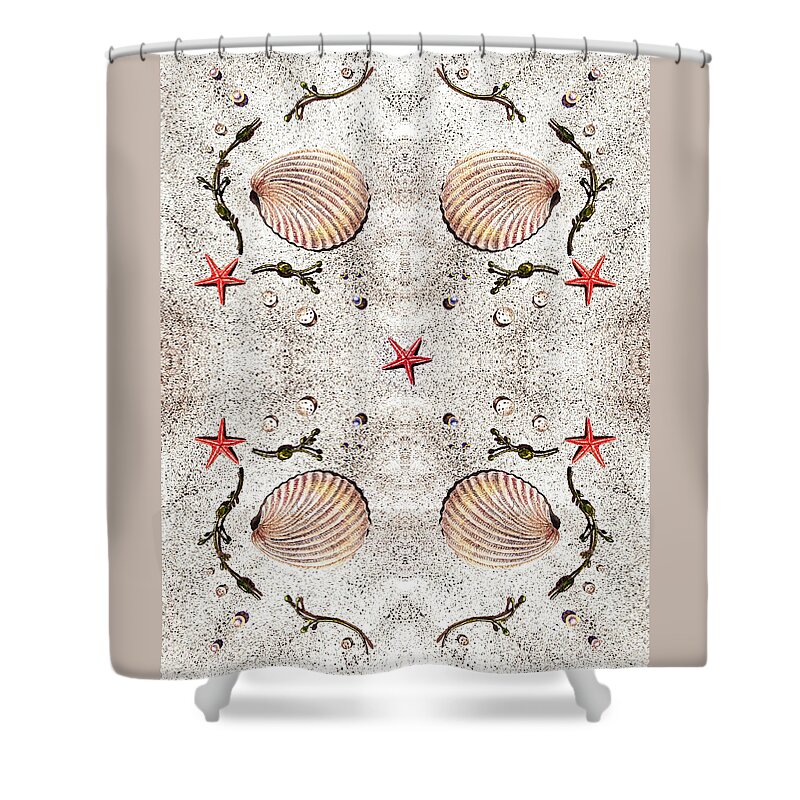 Seashell Shower Curtain featuring the painting Seashells Classic Quartet by Irina Sztukowski