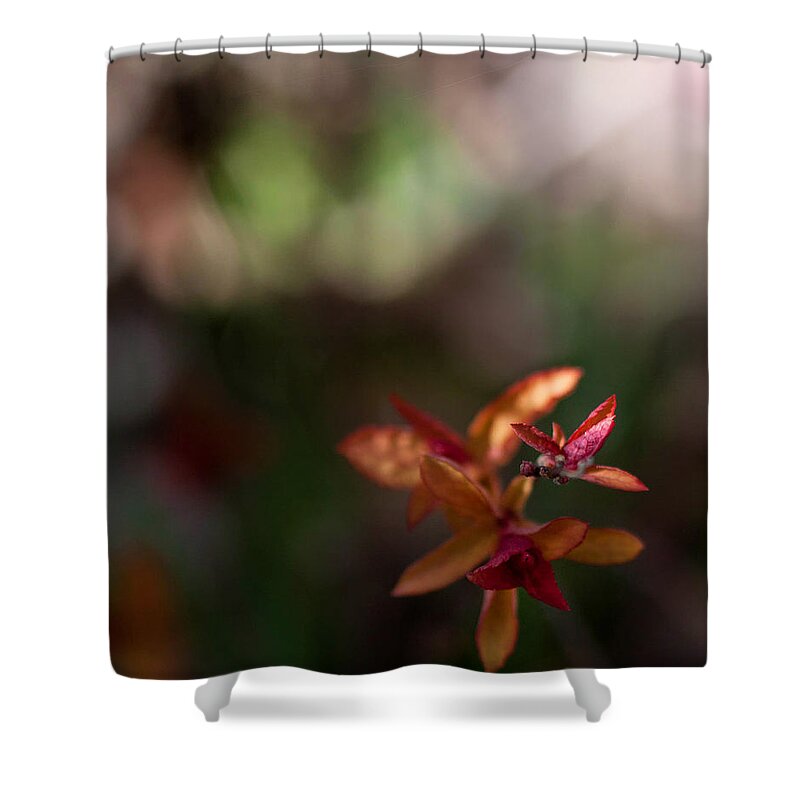 Outside Shower Curtain featuring the photograph Seasons Beginning by Cherie Duran