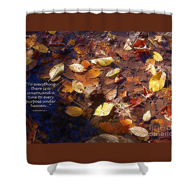 Diane Berry Shower Curtain featuring the photograph Seasons by Diane E Berry