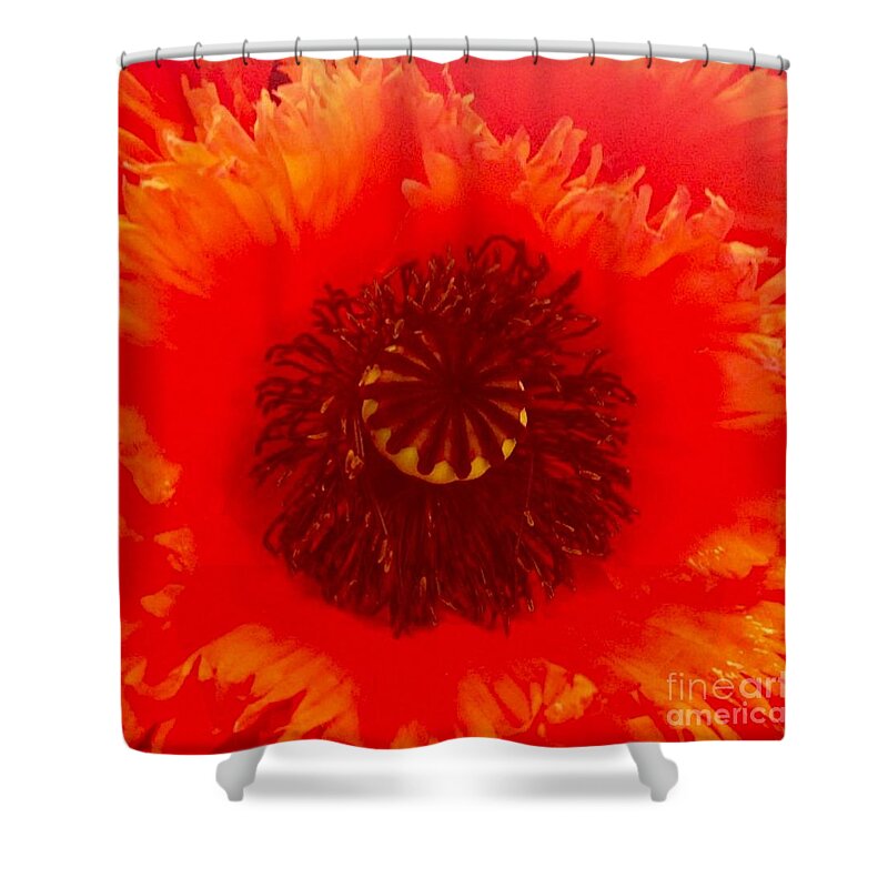 Flower Shower Curtain featuring the photograph Seattle by Denise Railey