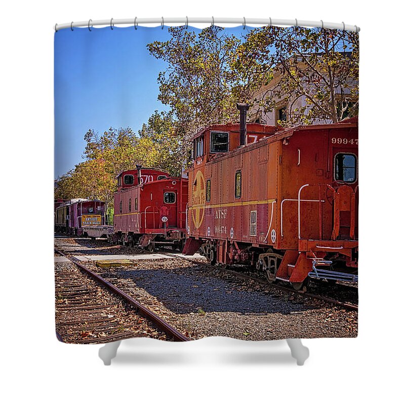 Fillmore Shower Curtain featuring the photograph Second Chances by Lynn Bauer