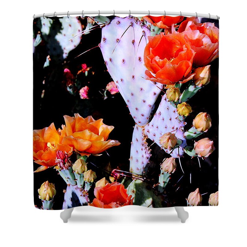 Cactus Shower Curtain featuring the photograph Second Day Color by M Diane Bonaparte