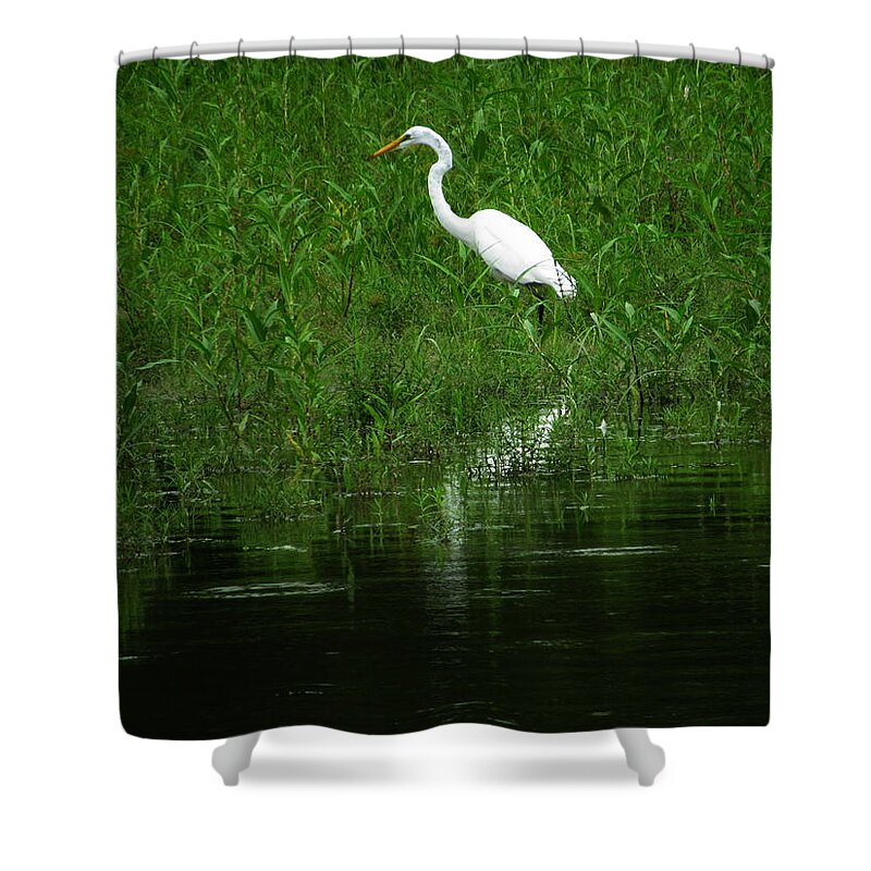 Art Shower Curtain featuring the photograph Secret City by Jeff Iverson