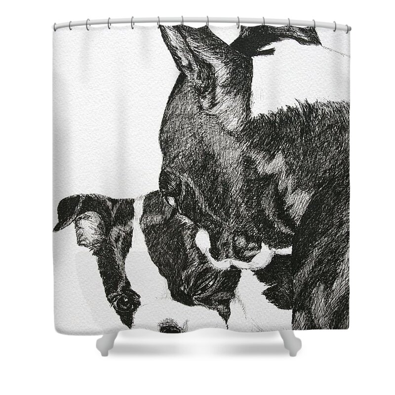 Boston Terrier Shower Curtain featuring the drawing Secrets by Susan Herber